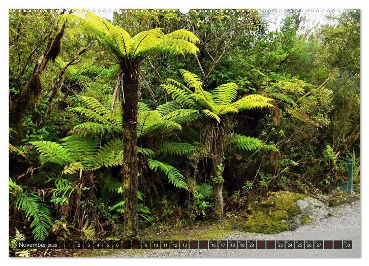 Produktbild: Neuseeland, S&uuml;dpazifische Inseln (Wandkalender 2026 DIN A2 quer), CALVENDO Monatskalender