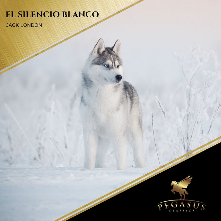 Produktbild: El Silencio Blanco