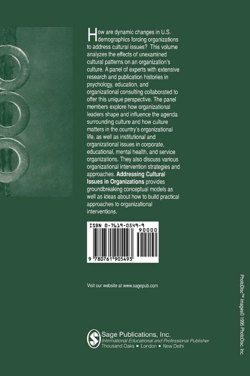 Produktbild: Addressing Cultural Issues in Organizations