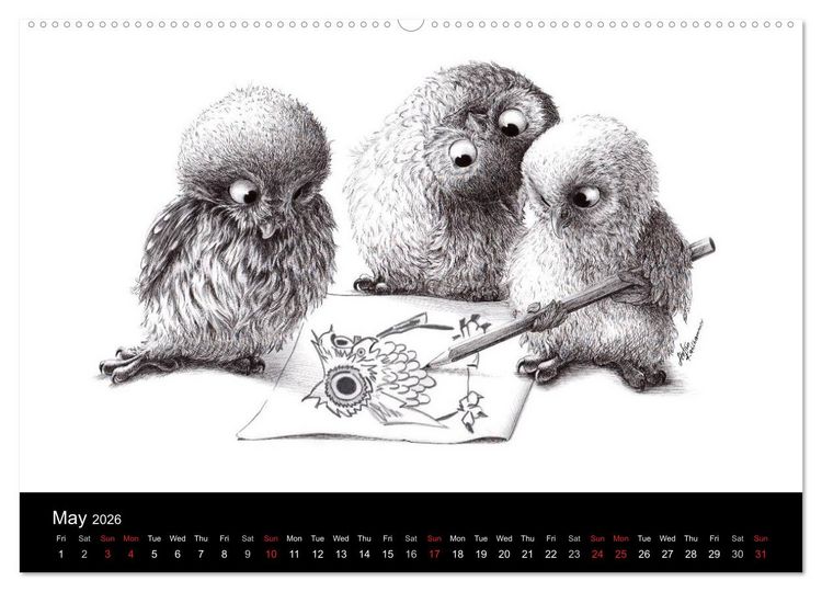 Produktbild: owls & friends 2026 (High Quality Premium Wall Calendar 2026 DIN A2 landscape),CALVENDO 12 Month Wall Calendar