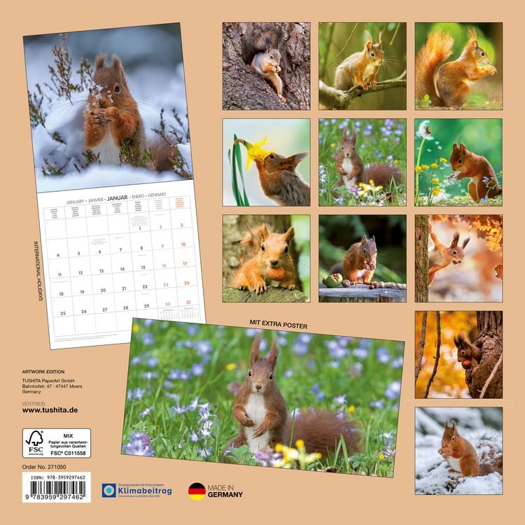 Produktbild: Eichh&ouml;rnchen / Squirrels 2027
