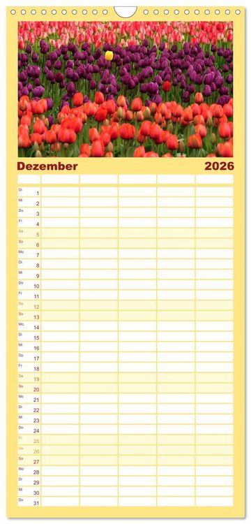 Produktbild: Familienplaner 2026 - Tulpentraum mit 5 Spalten (Wandkalender, 21 x 45 cm) CALVENDO