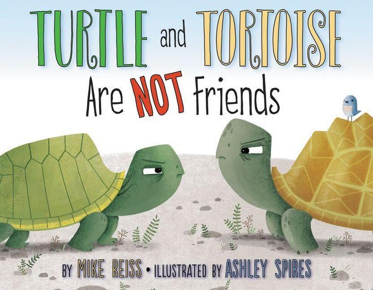Produktbild: Turtle and Tortoise Are Not Friends