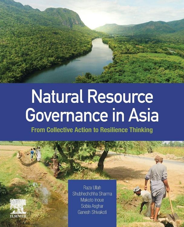 Produktbild: Natural Resource Governance in Asia