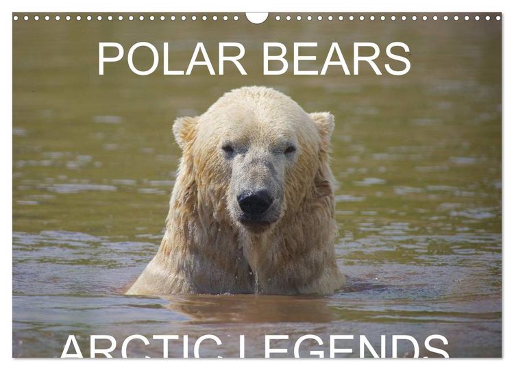 Produktbild: POLAR BEARS - ARCTIC LEGENDS (Wall Calendar 2026 DIN A3 landscape), CALVENDO 12 Month Wall Calendar