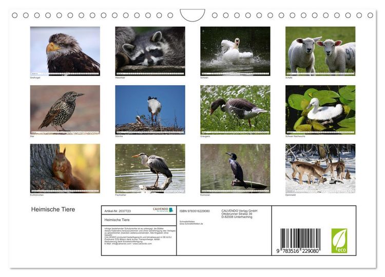 Produktbild: Heimische Tiere (Wandkalender 2026 DIN A4 quer), CALVENDO Monatskalender