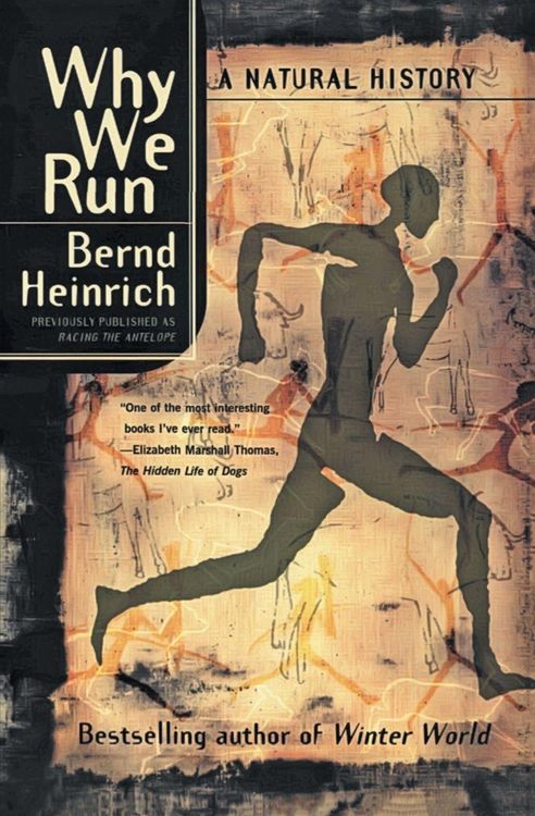 Produktbild: Why We Run