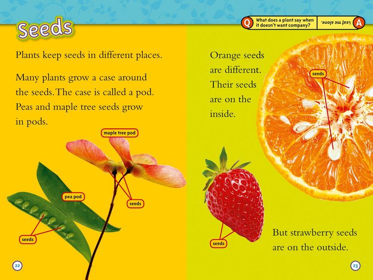 Produktbild: Seed to Plant