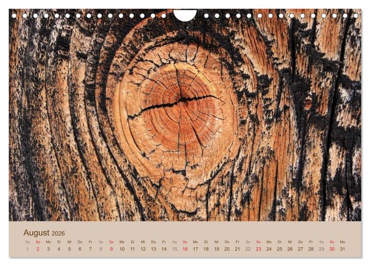 Produktbild: Farben des Holzes (Wandkalender 2026 DIN A4 quer), CALVENDO Monatskalender