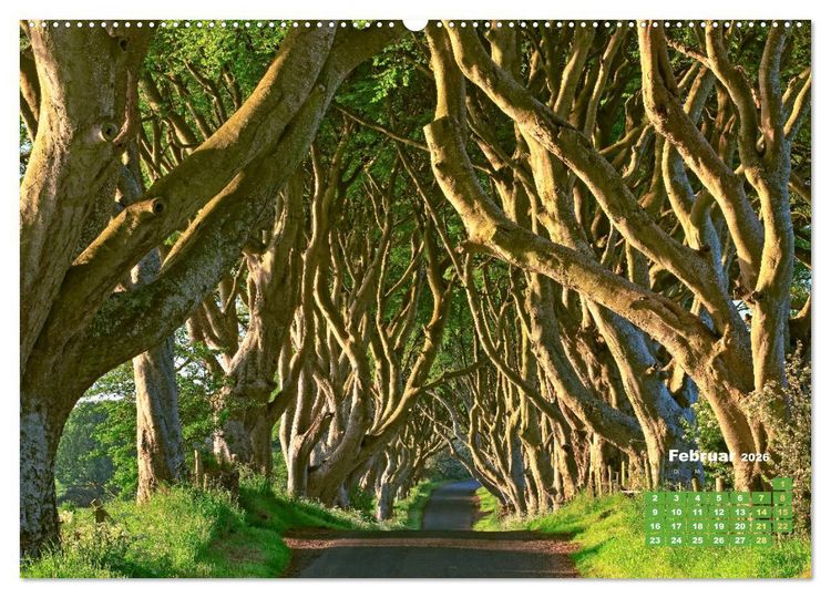 Produktbild: Alleen: Der Weg ist das Ziel (hochwertiger Premium Wandkalender 2026 DIN A2 quer), Kunstdruck in Hochglanz