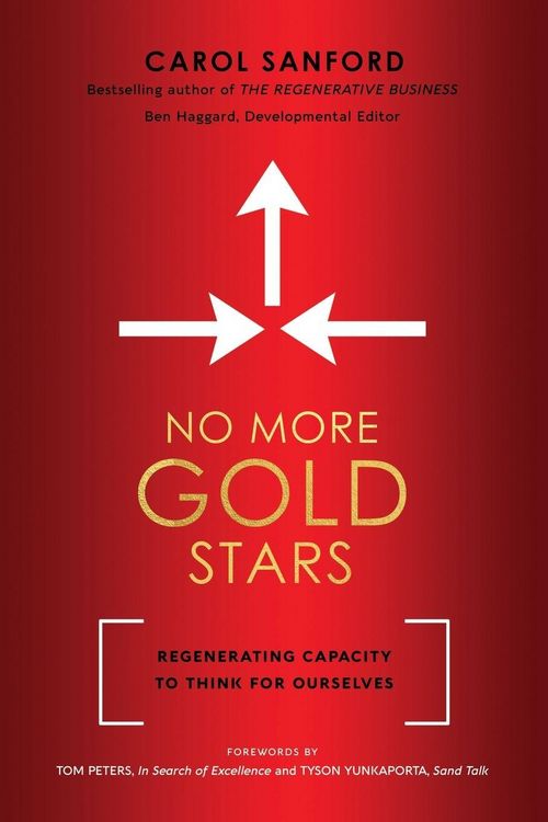 Produktbild: No More Gold Stars