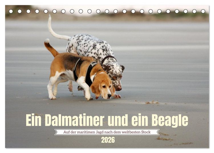 Produktbild: Ein Dalmatiner und ein Beagle - Auf der maritimen Jagd nach dem weltbesten Stock (Tischkalender 2026 DIN A5 quer), CALVENDO Monatskalender