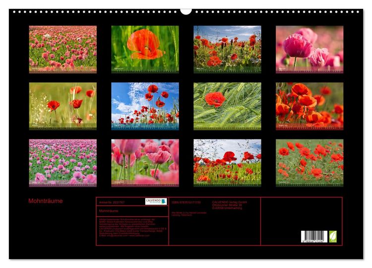 Produktbild: Mohntr&auml;ume (Wandkalender 2026 DIN A2 quer), CALVENDO Monatskalender