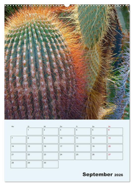 Produktbild: Wehrhafte Sukkulenten (Wandkalender 2026 DIN A2 hoch), CALVENDO Monatskalender