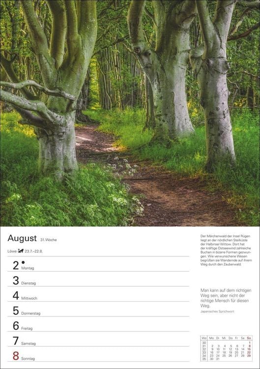 Produktbild: B&auml;ume Wochenplaner 2027 - 53 stimmungsvolle Fotografien