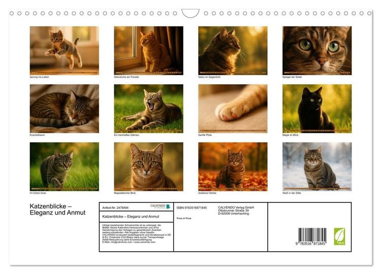 Produktbild: Katzenblicke &ndash; Eleganz und Anmut (Wandkalender 2027 DIN A3 quer), CALVENDO Monatskalender