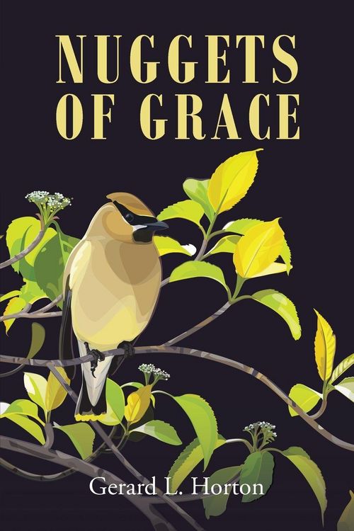 Produktbild: Nuggets of Grace