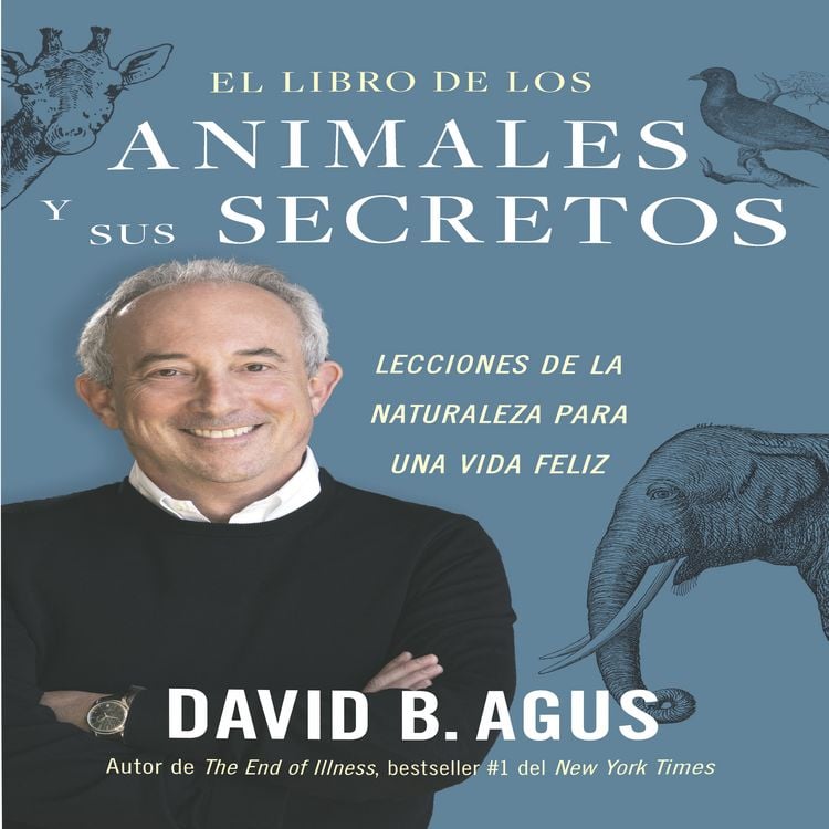Produktbild: El libro de los animales y sus secretos