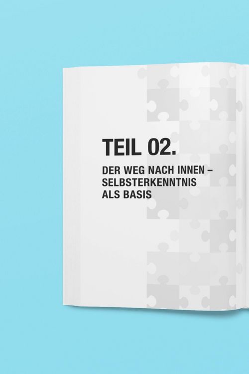 Produktbild: F&uuml;hren ohne Maske