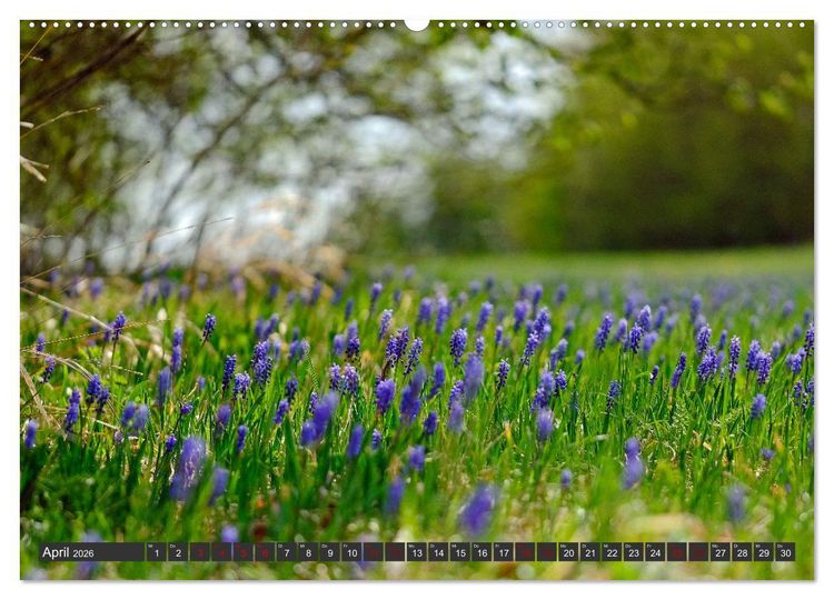 Produktbild: Natursch&auml;tze der S&uuml;dwestalb (hochwertiger Premium Wandkalender 2026 DIN A2 quer), Kunstdruck in Hochglanz