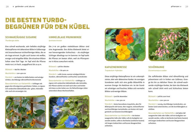 Produktbild: Begr&uuml;nen was geht