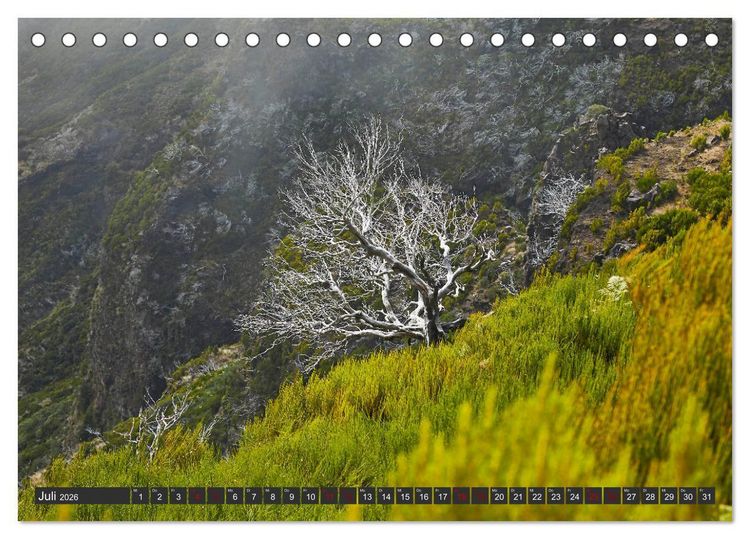 Produktbild: Madeira - Juwel im Atlantik (Tischkalender 2026 DIN A5 quer), CALVENDO Monatskalender