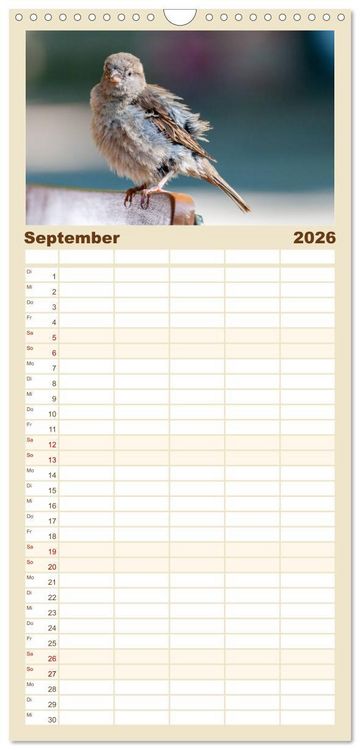 Produktbild: Familienplaner 2026 - Spatzen mit 5 Spalten (Wandkalender, 21 x 45 cm) CALVENDO