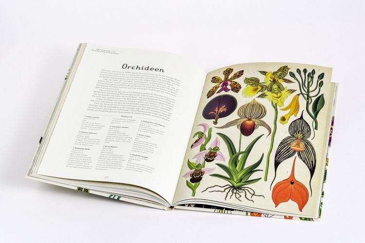 Produktbild: Das Museum der Pflanzen