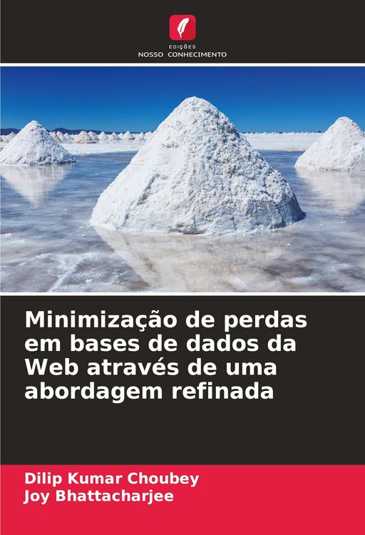 Produktbild: Minimiza&ccedil;&atilde;o de perdas em bases de dados da Web atrav&eacute;s de uma abordagem refinada