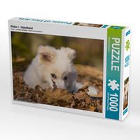 Produktbild: CALVENDO Puzzle Welpe 1 - Islandhund 1000 Teile Lege-Gr&ouml;&szlig;e 64 x 48 cm Foto-Puzzle Bild von Monika Scheurer
