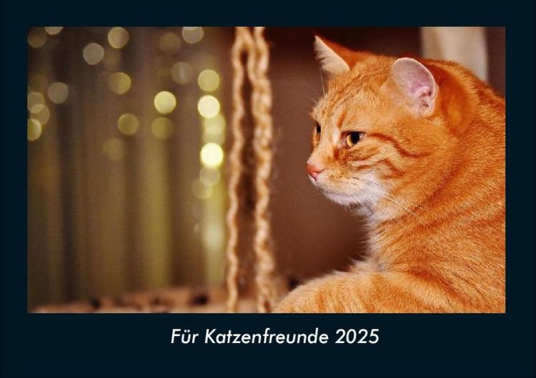 Produktbild: F&uuml;r Katzenfreunde 2025 Fotokalender DIN A4