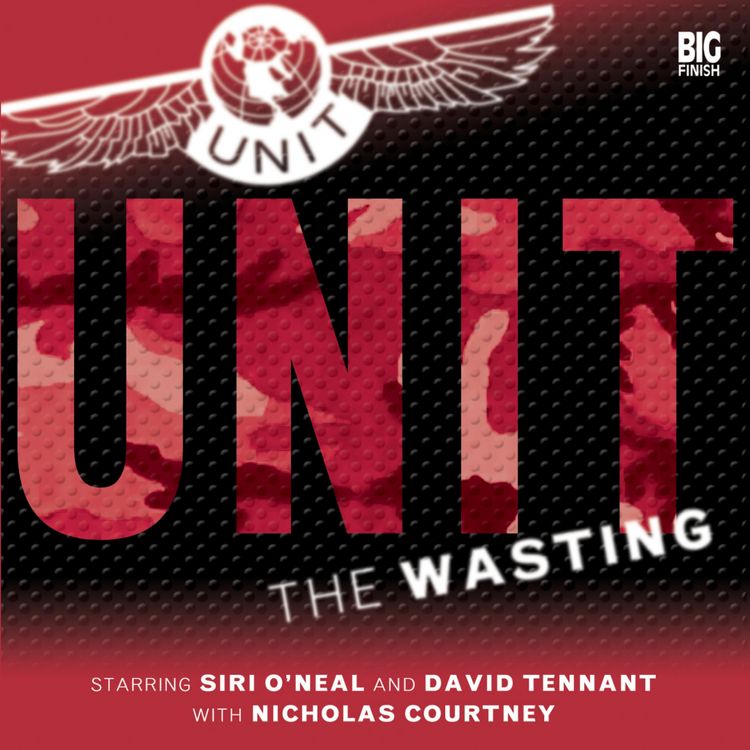 Produktbild: The Wasting