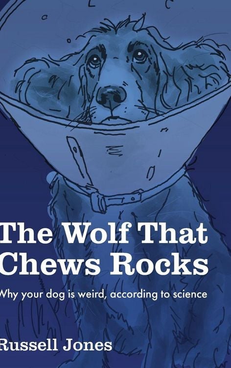 Produktbild: The Wolf That Chews Rocks