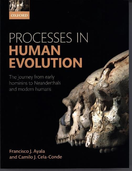 Produktbild: Processes in Human Evolution