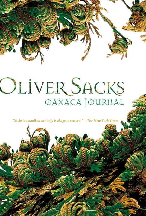 Produktbild: Oaxaca Journal