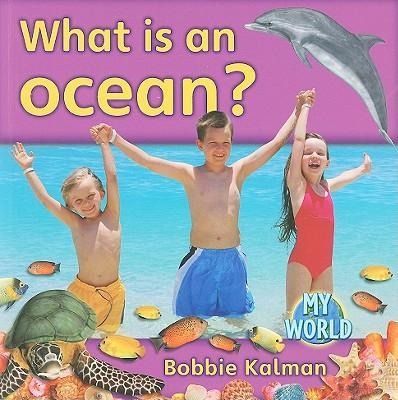 Produktbild: What Is an Ocean?