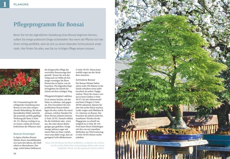 Produktbild: Bonsai ziehen, gestalten und pflegen