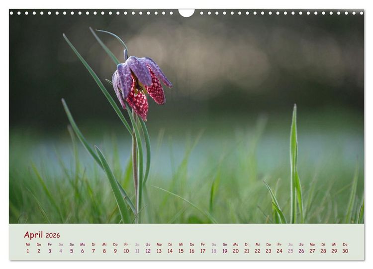 Produktbild: Naturwunder Bl&uuml;ten (Wandkalender 2026 DIN A3 quer), CALVENDO Monatskalender