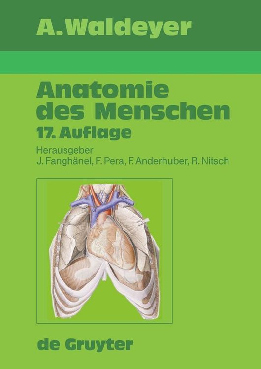 Produktbild: Waldeyer - Anatomie des Menschen