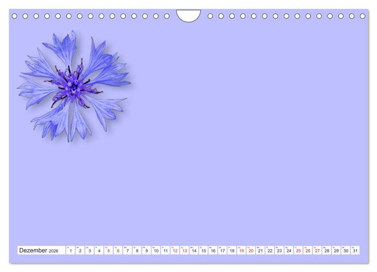 Produktbild: DIY POESIE - BASTELKALENDER (Wandkalender 2026 DIN A4 quer), CALVENDO Monatskalender