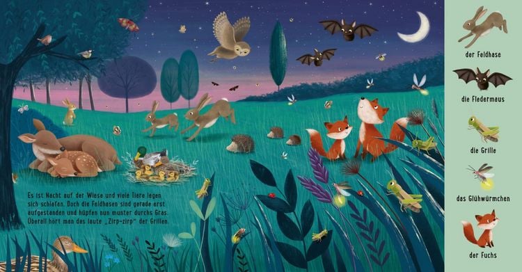 Produktbild: Mein erstes Natur-Wimmelbuch: Tiere auf der Wiese