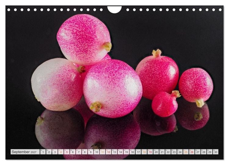 Produktbild: Zauber der kleinen Dinge (Wandkalender 2027 DIN A4 quer), CALVENDO Monatskalender