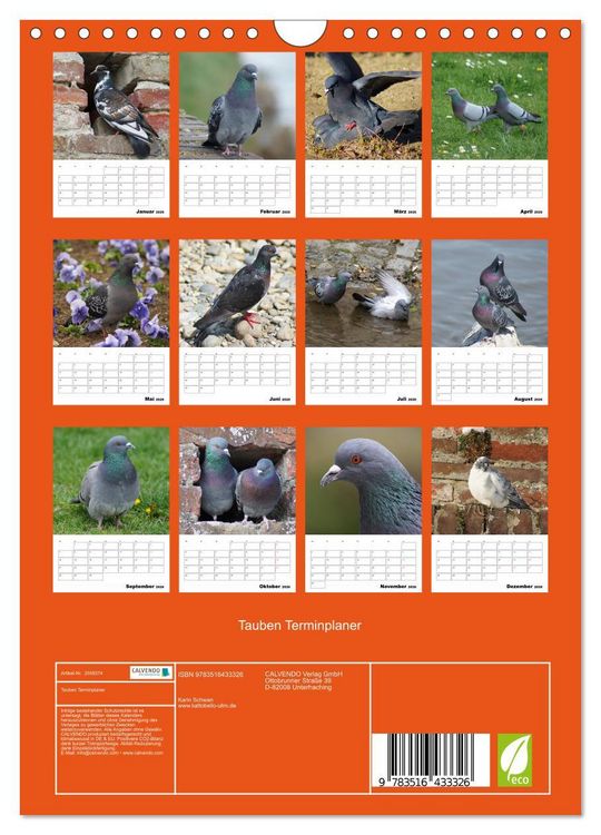 Produktbild: Tauben Terminplaner (Wandkalender 2026 DIN A4 hoch), CALVENDO Monatskalender