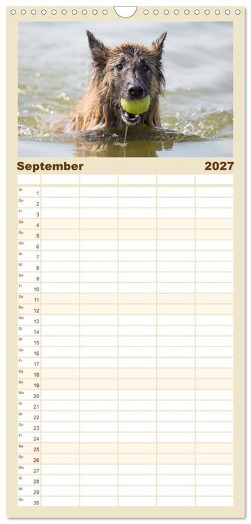 Produktbild: Familienplaner 2027 - Freunde auf vier Pfoten am Strand mit 5 Spalten (Wandkalender, 21 x 45 cm) CALVENDO
