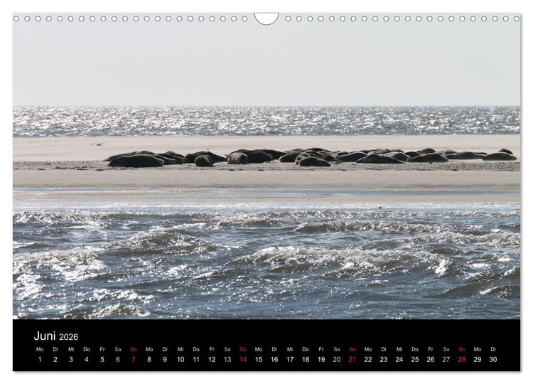 Produktbild: Sylt 2026 (Wandkalender 2026 DIN A3 quer), CALVENDO Monatskalender