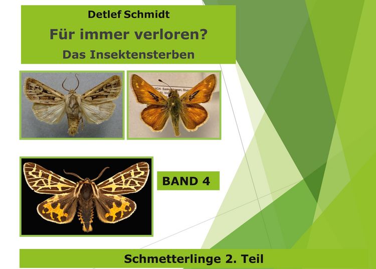 Produktbild: F&uuml;r immer verloren?