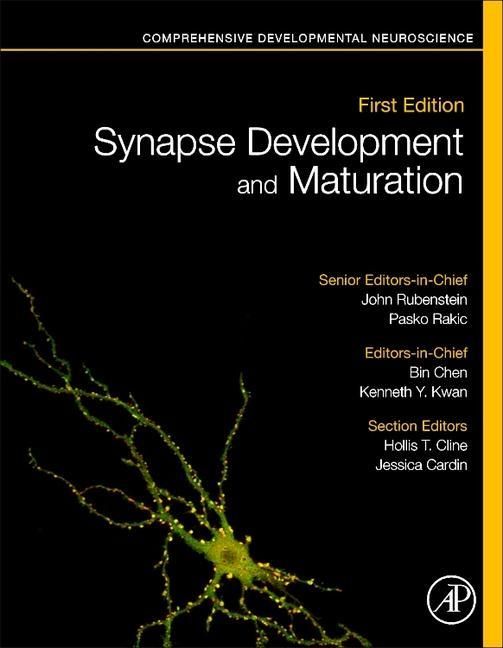 Produktbild: Synapse Development and Maturation