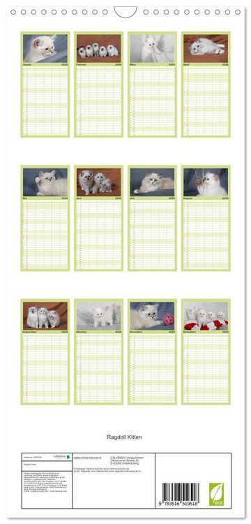 Produktbild: Familienplaner 2026 - Ragdoll Kitten mit 5 Spalten (Wandkalender, 21 x 45 cm) CALVENDO