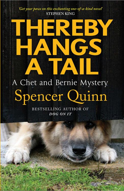 Produktbild: Thereby Hangs a Tail