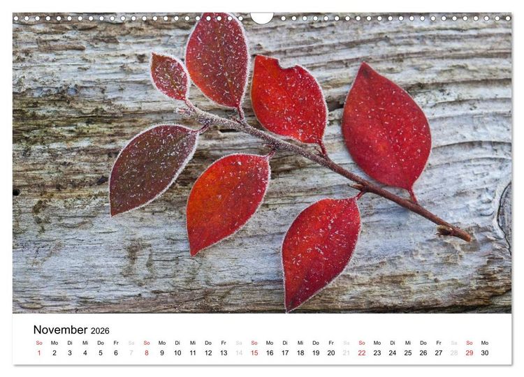 Produktbild: Mein Jahr im Landhausgarten (Wandkalender 2026 DIN A3 quer), CALVENDO Monatskalender